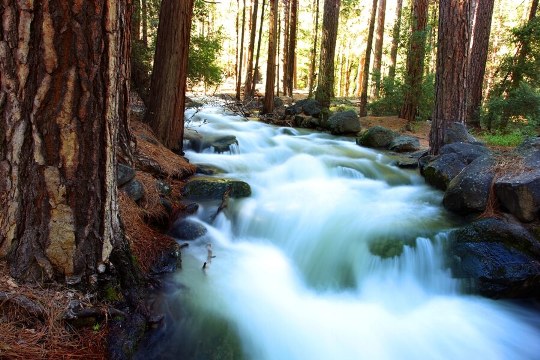 I am River e91847bc03ef48998d76aa42eebb3bb3