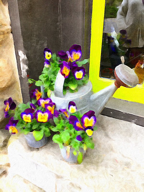 Nurturing the Violet.JPG