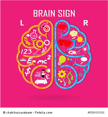 left and right brain symbol,creativity sign,business symbol,know
